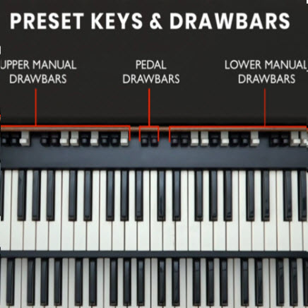 ORGAN CHO NGƯỜI MỚI BẮT ĐẦU